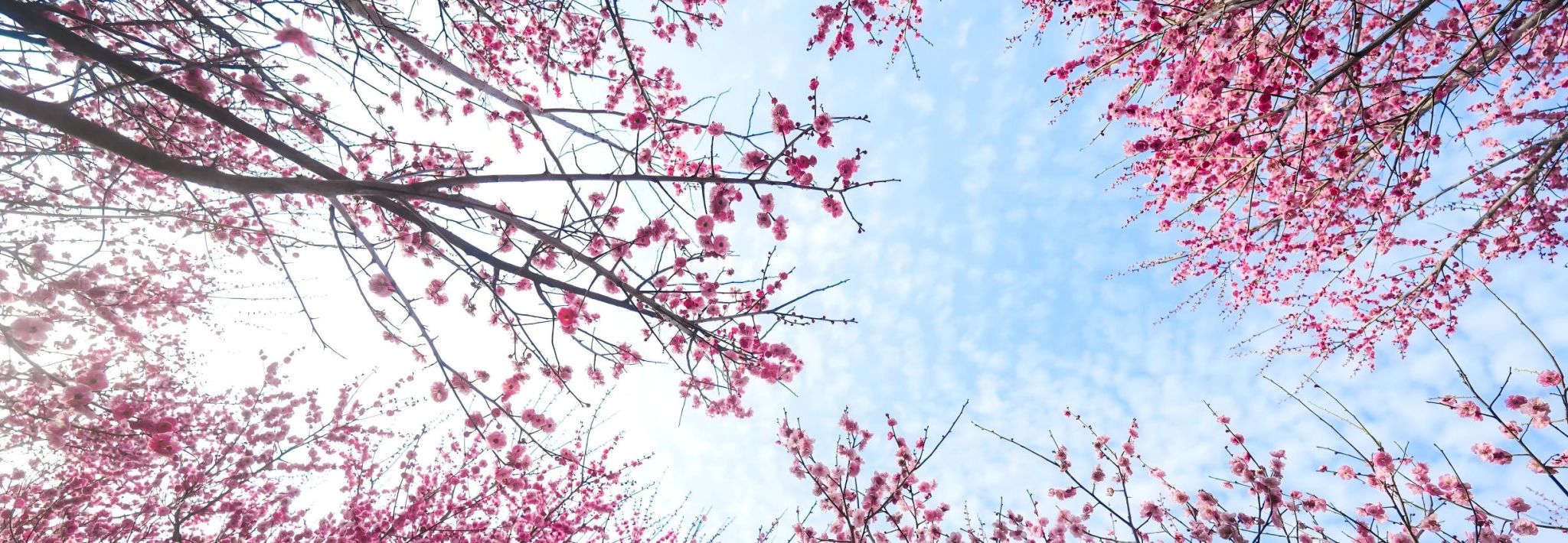 太阳集团城网站2018